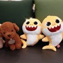 명지치과의원 이미지