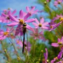 기산산업 이미지