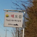 해오름영농조합법인 이미지