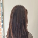 엑스에잇살롱