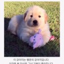 음 이미지