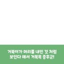 바르다마취통증의학과의원 이미지