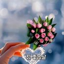 휠링 - 연수구 | 휠링