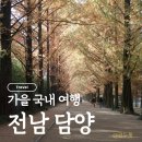 중앙로 메타세콰이아길 | [전남 담양] 담양 1박2일 여행, 국내가을여행, 단풍여행, 메타쉐카이아길, 관방제림, 죽녹원