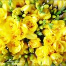 두음리 문화마을 이미지