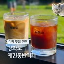 초지운동장 | 인천 강화도 여행 갈만한곳 : 초지대교 애견동반 카페 추천 야외 운동장