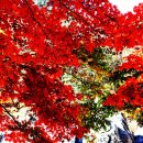 인제3공원 이미지