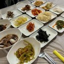 박경리 문학의집 | 26년 3월 섬진강 따라 걷는 봄꽃 문학 여행/ 박경리 토지길 &amp; 서시천 벚꽃길