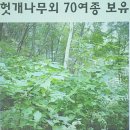 산방환담 이미지