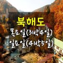 투게더항공여행사