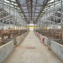 세현축산 이미지