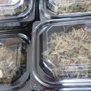 왕촌농산 이미지