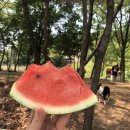(주)누림푸드