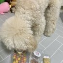단지까까 이미지