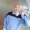 [세븐틴 빙의글 / 역하렘 빙의글] 여우짓은 내 전문이지 Teaser