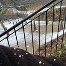 이네 | 일본 오사카 여행 오사카 출발 이네후나야 &amp; 아마노하시다테 일일투어 후기