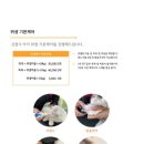 놀러오개 애견유치원 애견호텔 강남점 이미지