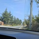 솔이네집 식당 이미지