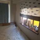 도리4천 이미지