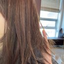 원흥 미용실 예윤 디자이너 럼플리 클리닉 후기, 이철헤어커커 원흥역점