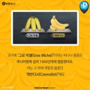 &lt;지성 -1&gt;