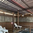 세종스파텔 이미지