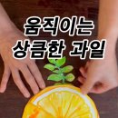 동그란미술교습소 - 수영구 망미배산로76번길 16 | 동그란미술교습소