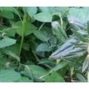 횡성산촌민박 이미지