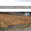 삼정우리부동산공인중개사사무소 이미지