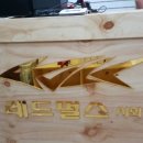 레드펄스시화점 이미지