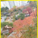 더좋은힐스공인중개사사무소 이미지