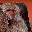 세화리움 이미지