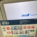 일오비즈 | 김포-하네다 ANA 비즈 탑승 후기