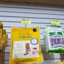 펫키우소 이미지