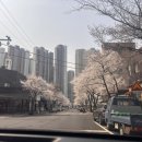 대지약국 이미지