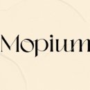 모피움청담 이미지