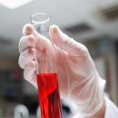 생명의줄기 이미지