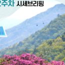공덕자이명품공인중개사사무소 이미지