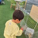 식물공방 - 문경시 신기산단1길 5-13 | 일산 아기랑 갈만한 곳, 미스터허브식물공방 평일 후기