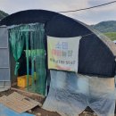 경삼농장 이미지