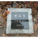 앵무봉 이미지