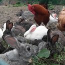 경만농장 이미지