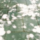 나만의 니치향수 만들기 이미지