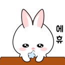 스킨포스레인 이미지