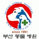 부산종합동물병원 - 주.야간 간호사&코디네이터 모집합니다. 이미지