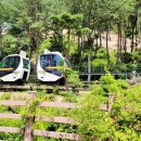 속리산가자 민박 | 속리산펜션 청결한 매장으로 유명한 속리산가자펜션 다녀왔어요.