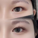 용인 광교 속눈썹펌 뉴진공방 틴팅펌 후기(종류, 연장 차이)