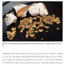곰팡이가 우주 형성 이미지