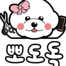 서울미용타운 이미지