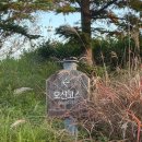 냉정로(냉정중앙길) | 원더클럽72(스카이72)CC 오션IN-OUT코스 가을 라운딩후기